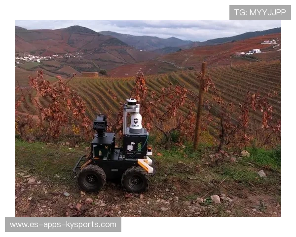 波尔图靠精准直塞制造绝佳时机，掌控比赛的关键武器